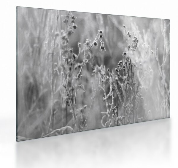 Sklenený obraz - Divoká lúka (70x50 cm)