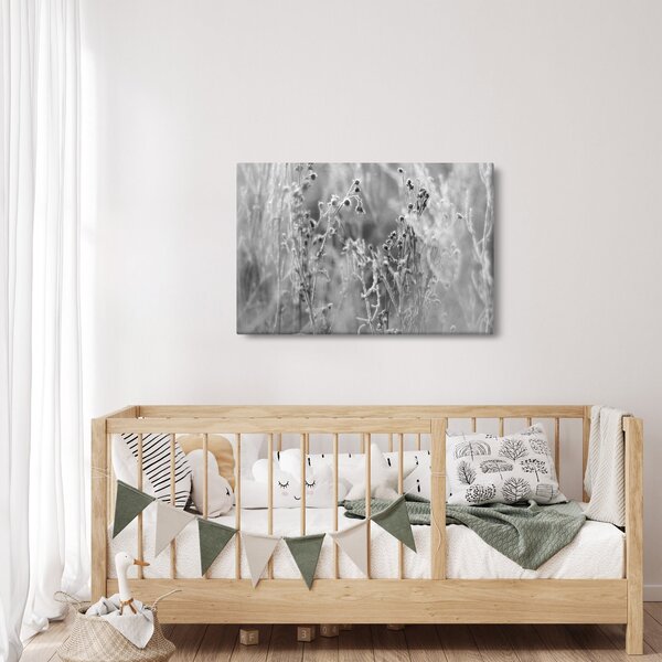 Obraz - Divoká lúka (90x60 cm)