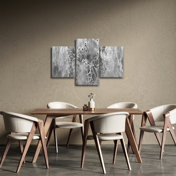Obraz - Divoká lúka (90x60 cm)