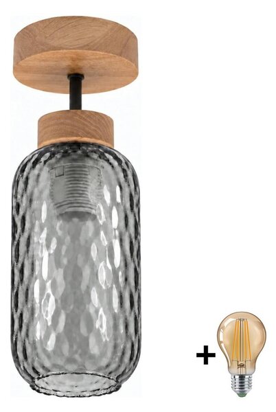 BRILAGI - LED Prisadený luster R GLASS 1xE27/60W/230V pr. 14 cm dub/dymová sivá