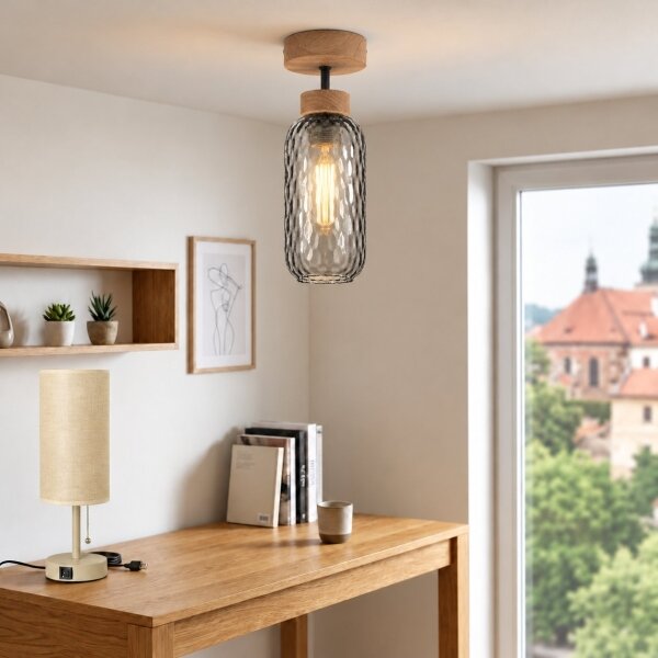 BRILAGI - LED Prisadený luster R GLASS 1xE27/60W/230V pr. 14 cm dub/dymová sivá