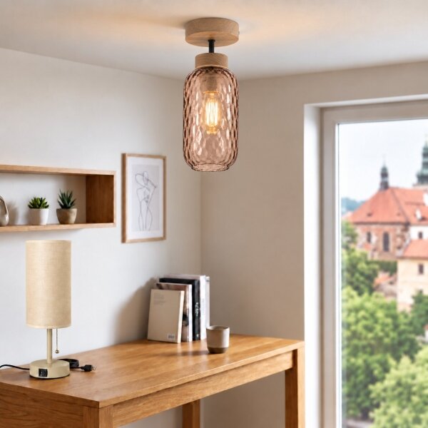 BRILAGI - LED Prisadený luster R GLASS 1xE27/60W/230V priemer 14 cm dub/dymová hnedá