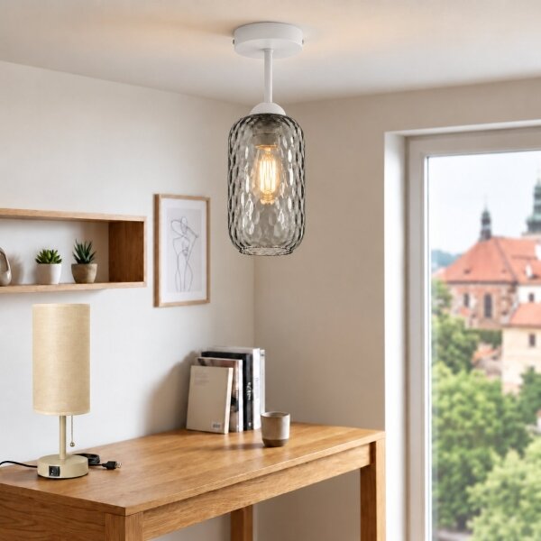 BRILAGI - LED Prisadený luster R GLASS 1xE27/60W/230V pr. 14 cm biela/dymovošedá