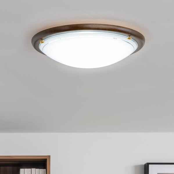 Rabalux 5417 - Stropné svietidlo UFO E27/60W/230V