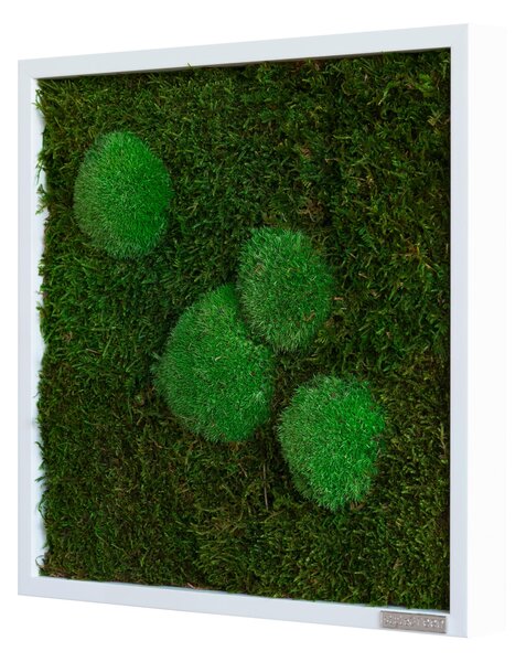 MACHOVÝ OBRAZ StyleGREEN - Online Only bytové doplnky, Online Only
