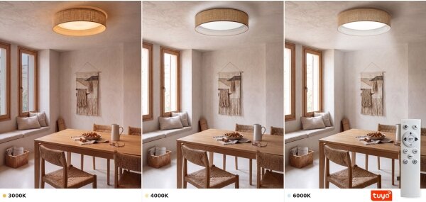 Brilagi - LED stmievateľné svietidlo VELVET SM. 24W/230V 3000-6000K priemer 45 cm béžové WT + DO