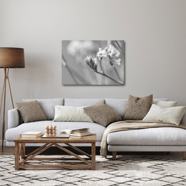 Obraz - Rozkvitnutý kvet (70x50 cm)