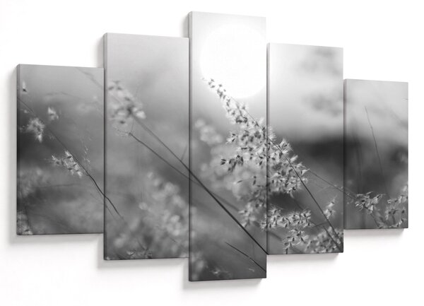 Obraz - Jesenná lúka (150x105 cm)