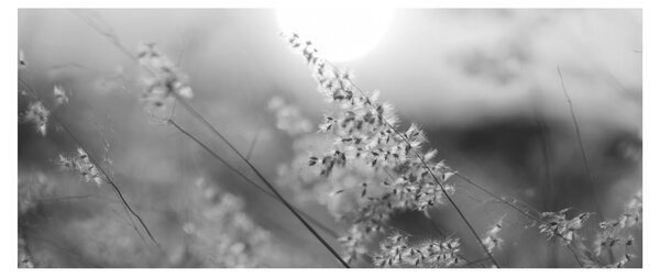 Obraz - Jesenná lúka (120x50 cm)