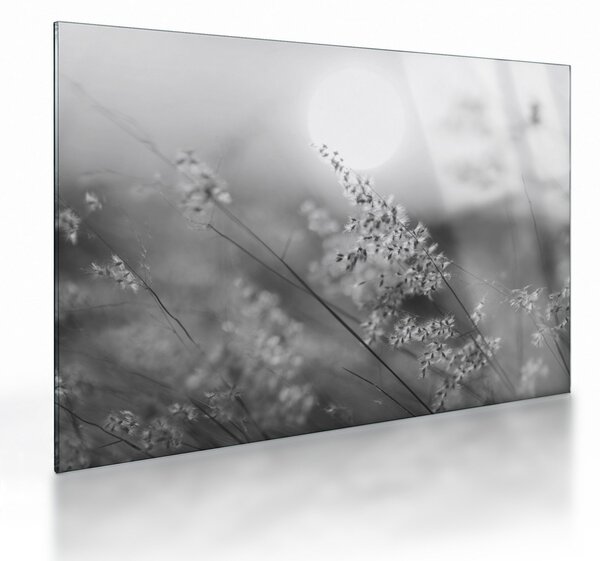Sklenený obraz - Jesenná lúka (70x50 cm)