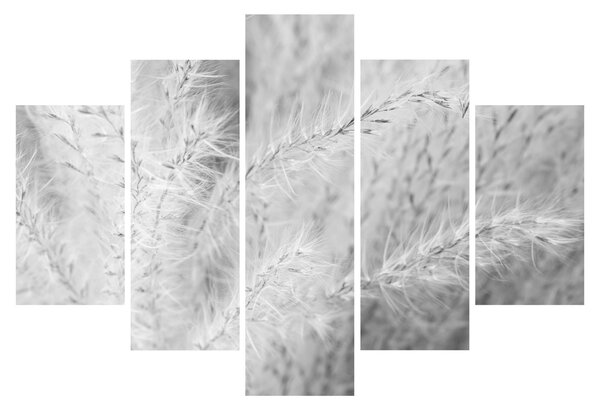 Obraz - Pampas grass N⁰1 (150x105 cm)