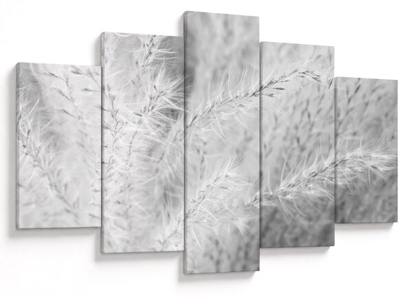 Obraz - Pampas grass N⁰1 (150x105 cm)