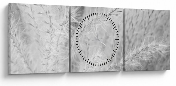 Obraz - Pampas grass N⁰1 (s hodinami) (90x30 cm)