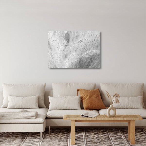 Sklenený obraz - Pampas grass N⁰1 (70x50 cm)