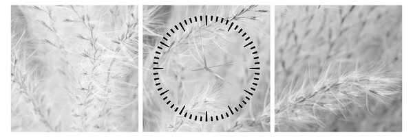 Obraz - Pampas grass N⁰1 (s hodinami) (90x30 cm)