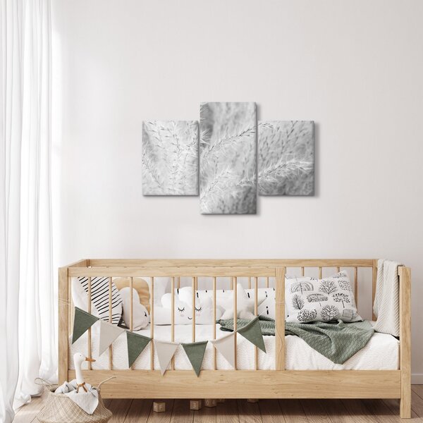Obraz - Pampas grass N⁰1 (90x60 cm)