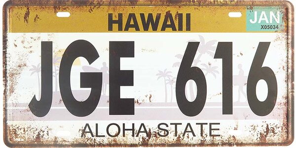 Retro ceduľa ŠPZ Hawaii Aloha 30x15cm (Retro dekorácia)