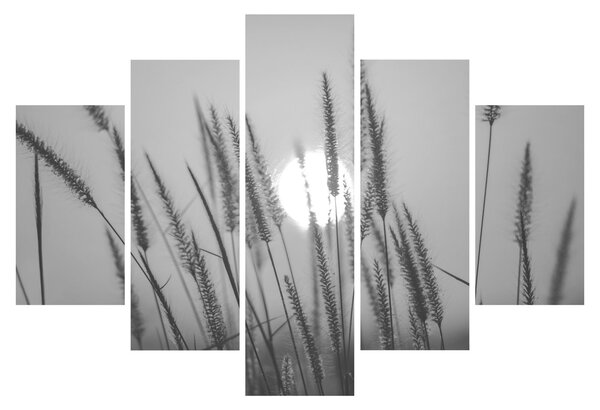 Obraz - Lúka pri západe slnka (150x105 cm)