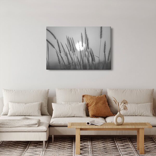Obraz - Lúka pri západe slnka (90x60 cm)