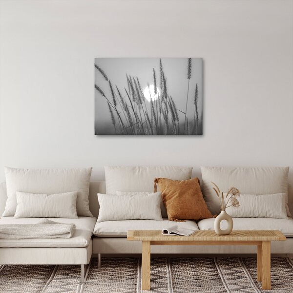 Obraz - Lúka pri západe slnka (70x50 cm)