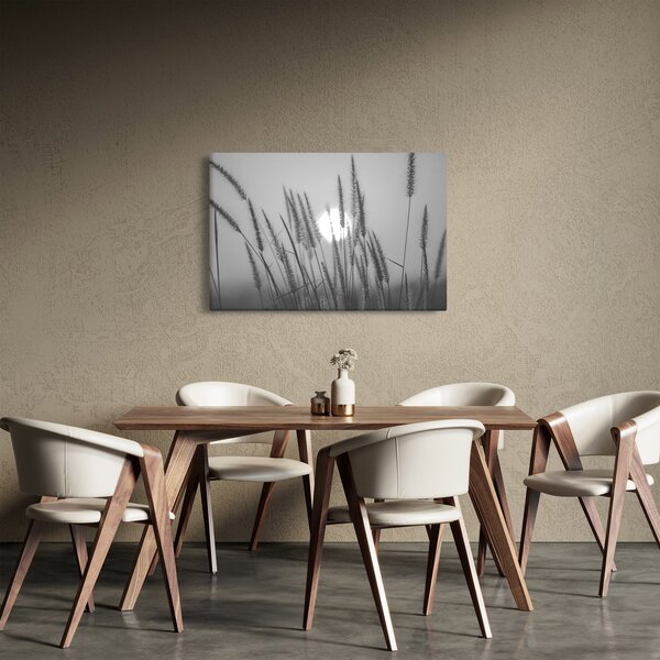 Obraz - Lúka pri západe slnka (90x60 cm)