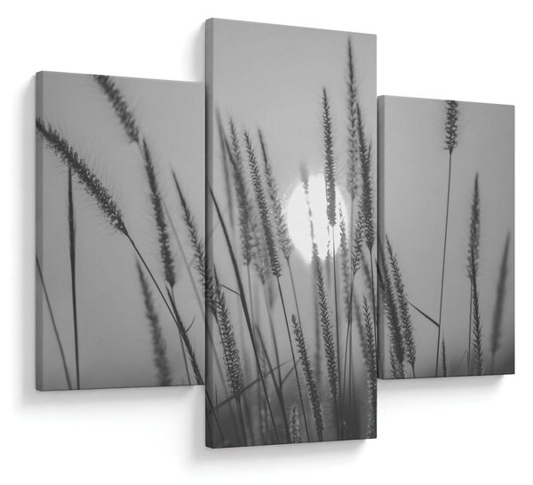 Obraz - Lúka pri západe slnka (90x60 cm)
