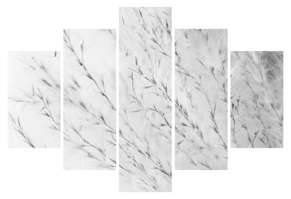 Obraz - Pampas grass N⁰2 (150x105 cm)