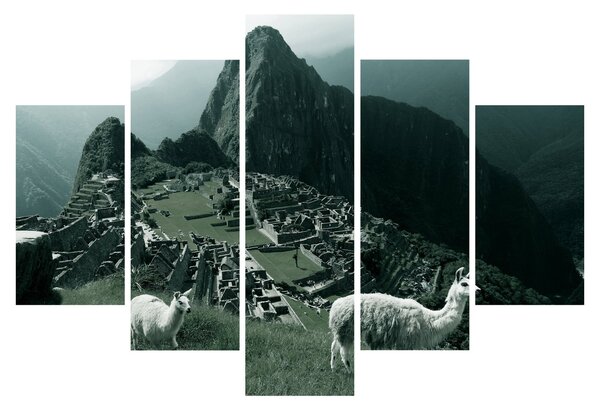 Obraz - Lamy na Machu Picchu v Peru (150x105 cm)