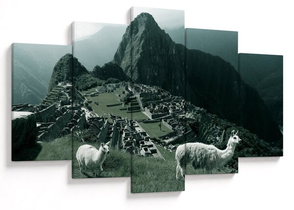 Obraz - Lamy na Machu Picchu v Peru (150x105 cm)