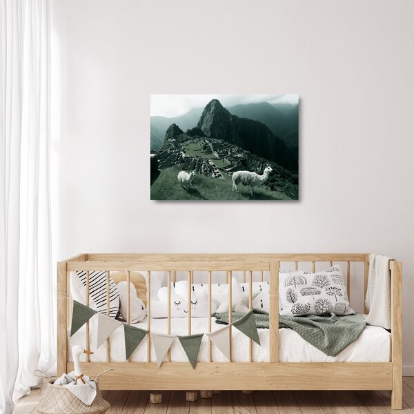 Sklenený obraz - Lamy na Machu Picchu v Peru (70x50 cm)