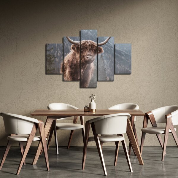 Obraz - Highlander krava (150x105 cm)