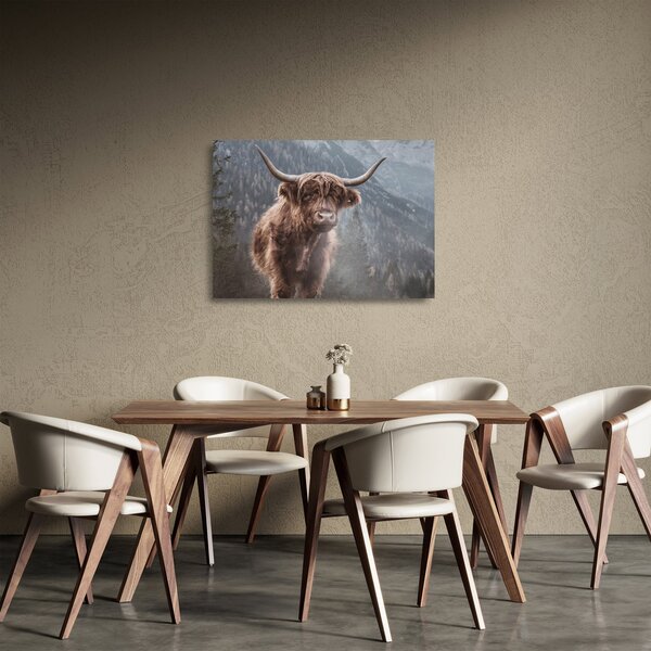 Sklenený obraz - Highlander krava (70x50 cm)