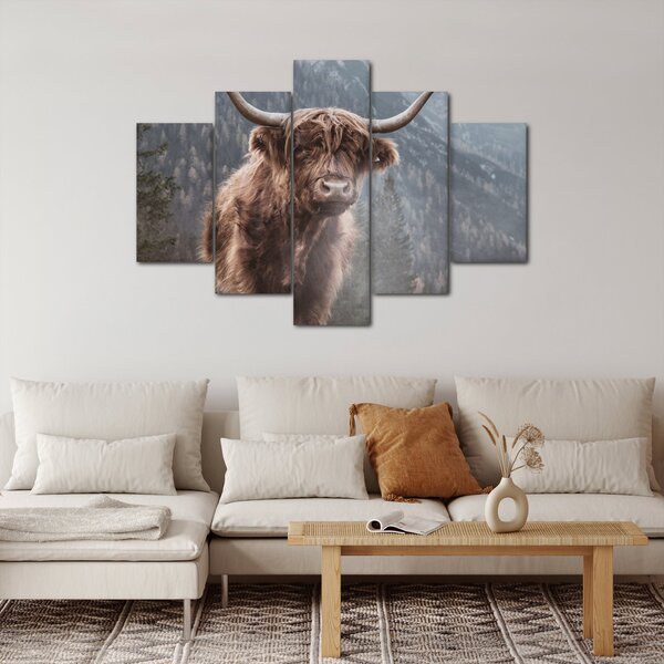 Obraz - Highlander krava (150x105 cm)