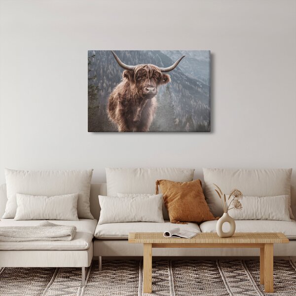 Obraz - Highlander krava (90x60 cm)