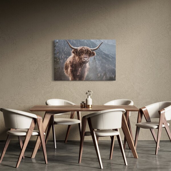 Obraz - Highlander krava (90x60 cm)
