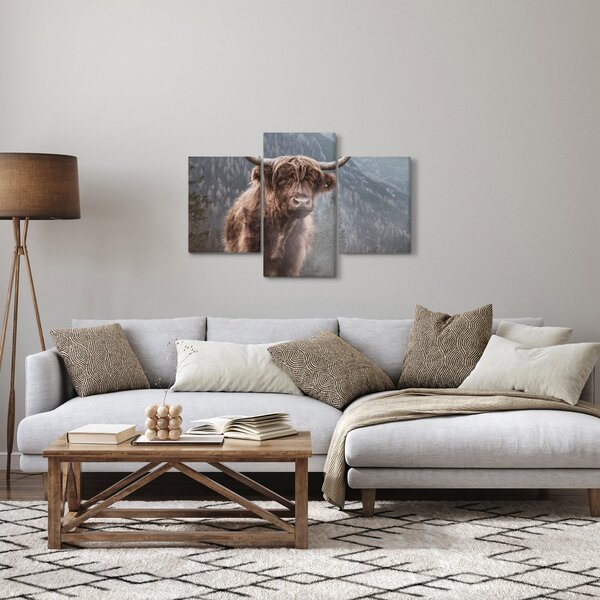 Obraz - Highlander krava (90x60 cm)