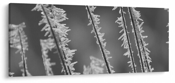 Obraz - Mrazivá zima (120x50 cm)