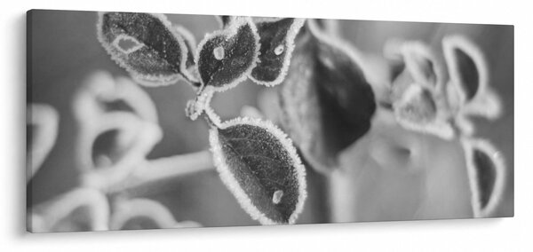 Obraz - Príroda na jeseň (120x50 cm)
