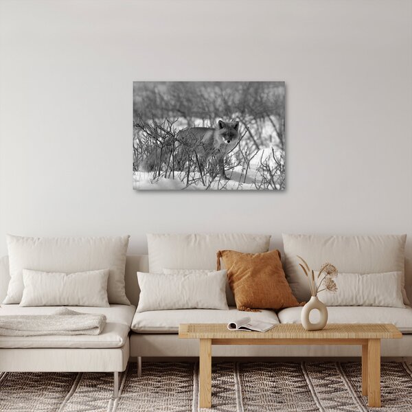 Obraz - Líška v zime (70x50 cm)