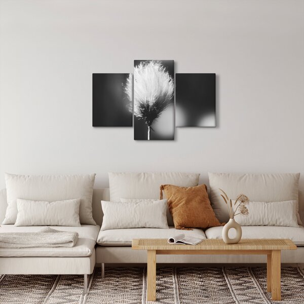 Obraz - Čiernobiely cottongrass (90x60 cm)