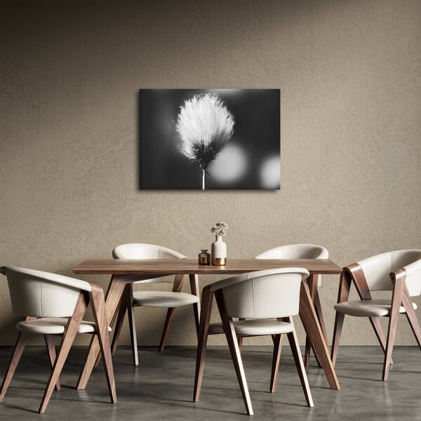 Obraz - Čiernobiely cottongrass (70x50 cm)