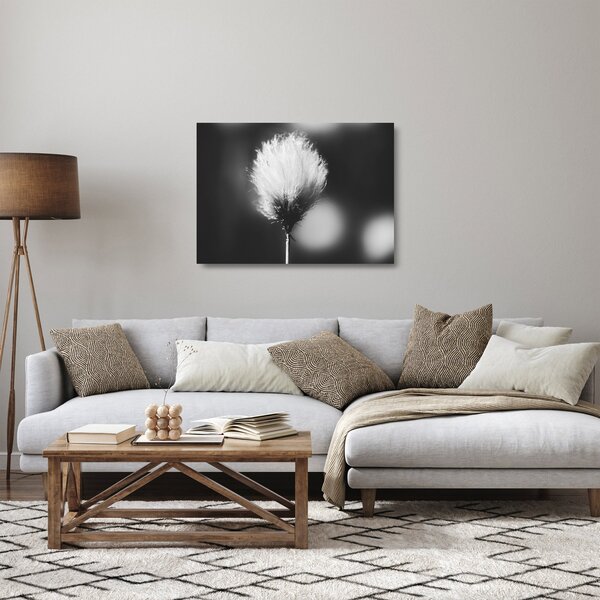 Sklenený obraz - Čiernobiely cottongrass (70x50 cm)