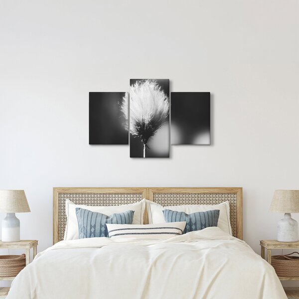 Obraz - Čiernobiely cottongrass (90x60 cm)