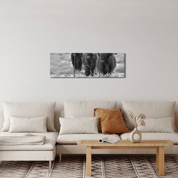 Obraz - Škótske kravy (s hodinami) (90x30 cm)