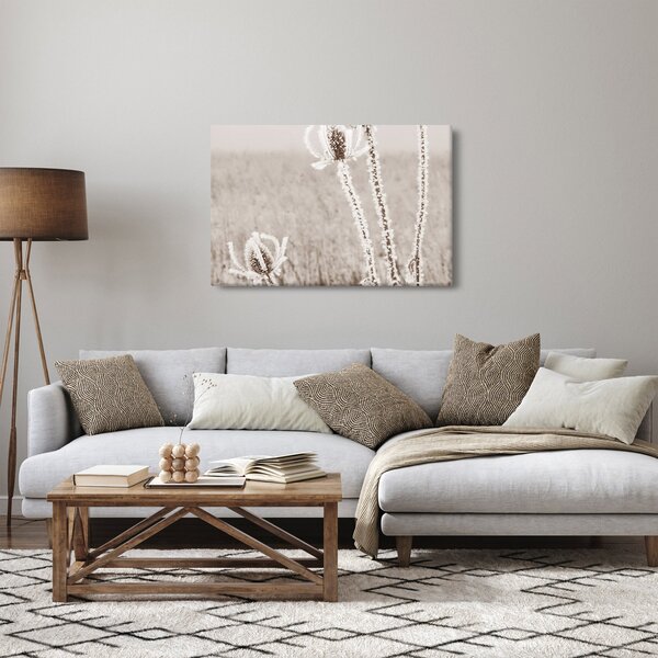 Obraz - Bodliak v zime (90x60 cm)
