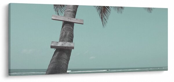 Obraz - Palma v Karibiku (120x50 cm)