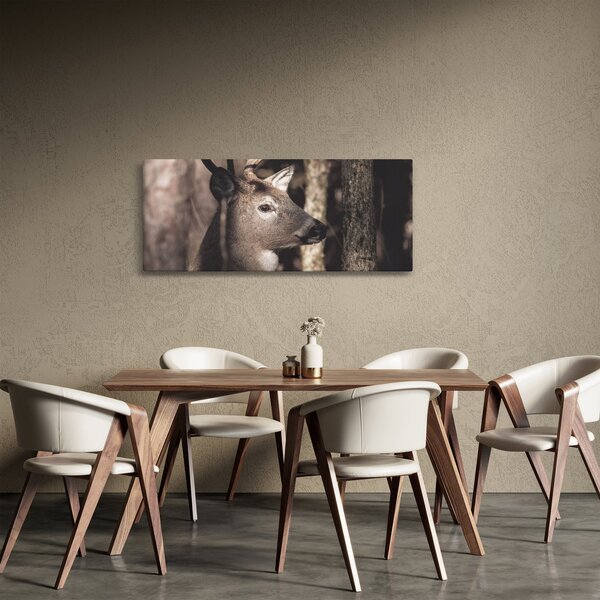 Obraz - Jeleň v lese (120x50 cm)