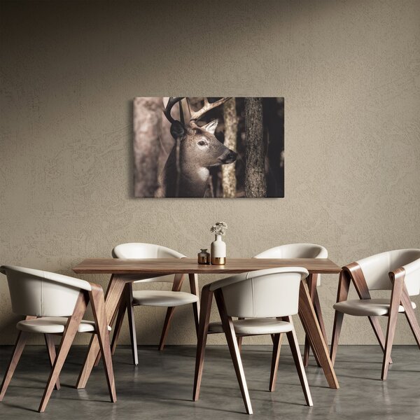 Obraz - Jeleň v lese (90x60 cm)