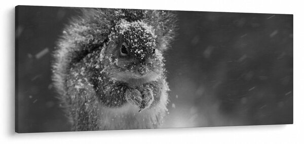 Obraz - Veverička v zime (120x50 cm)