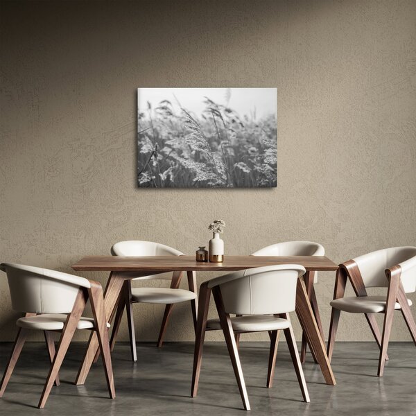 Obraz - Tráva vo vetre (70x50 cm)